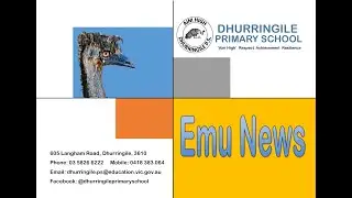 Emu News term 4, week 2 2021
