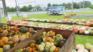 ENC farmers prepare for fall season