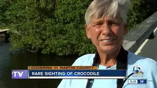 Endangered American crocodile spotted in Martin County
