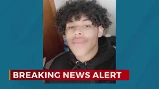 Endangered juvenile missing from Smyrna