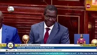 Energy CS Opiyo Wandayi Appears Before Senate