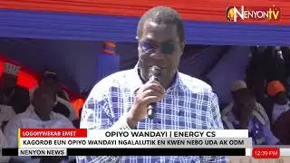 ENERGY CS OPIYO WANDAYI BACKS COALITION TALKS BETWEEN ODM AND UDA