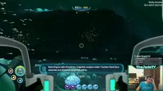 [ENG] Cyclops Time! Interactive Streamer!!! Subnautica Hype!!!