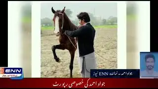 Enn Tv | Jawad Ahmed Special Report