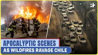 Entire Towns Wiped Out, Several Killed | Chile’s Wildfires Turn Deadly