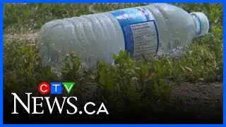 Environmental group launches unique way to fight pollution