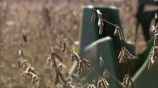 EPA Nixes SREs, MFP Disparities Come to Light