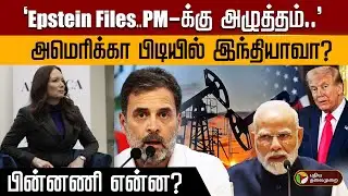 "Epstein Files..PM-க்கு அழுத்தம்.." அமெரிக்கா பிடியில் இந்தியாவா? பின்னணி என்ன? | PTD