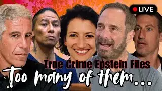 EPSTEIN INTERVIEW RELEASED! EPSTEIN FILES TMZ Harvey Levin, Alex Spiro & More | Dances with WOLVES