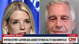 EPSTEIN VICTIMS’ LAWYERS ASK JUDGES TO FORCE DOJ TO TAKE DOWN FILES
