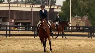 Equestrian events return to reshaped Earl Warren Showgrounds facility