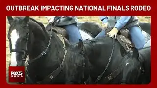 Equine herpes outbreak forces changes at National Finals Rodeo