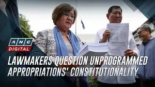 Erice, De Lima file petition vs 2026 unprogrammed appropriations before SC | ANC