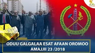 ESAT ODUU 31 JANUARIY 2026