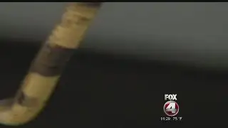 Escaped cobra captured in Fort Myers