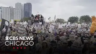 Estimated 200-250K at Chicago