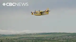 Estimated 203 structures destroyed by Kingston wildfire: N.L. premier