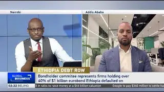 Ethiopia’s creditors accuse IMF of 
