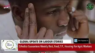 Europe Austerity Protests/ Nigerian Workers insecurity, Poverty Rally/2025 #Migrants Day/#christmas 