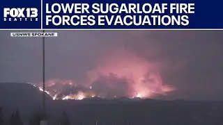 Evacuations underway in WA due to Sugarloaf Fire