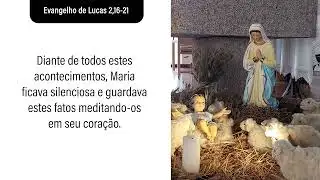 Evangelho de 1° de Janeiro