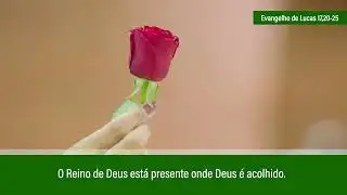 Evangelho de 13 de novembro