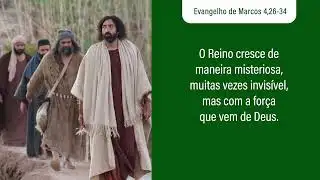 Evangelho de 30 de janeiro