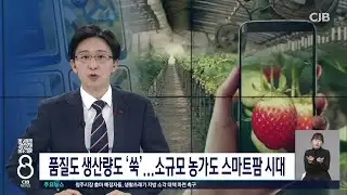 Even small-scale farms are entering the smart farm era.