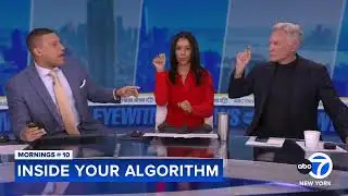 Ever wondered what your algorithm says about you? Well now you can find out