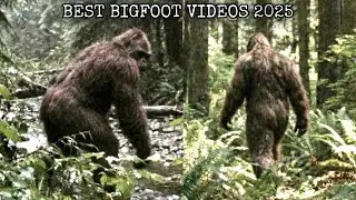 Every GOOD Bigfoot Sighting from 2025! *Clear Footage Only*
