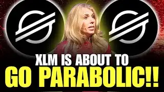Every Single XLM Holder Must See This (WATCH BEFORE It Goes Private)