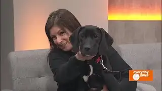 Everyday Iowa - Last Hope Animal Rescue