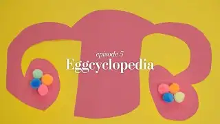 Everything you need to know about freezing your eggs | Should I freeze my eggs?