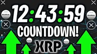 Exchanges Are Loading Up on XRP – Massive Supply Shock Incoming!