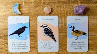 ✨EXCITING NEWS FROM YOUR FUTURE SELF! 🤩📩🌟 Pick A Card 🔮✨ Timeless Tarot Reading