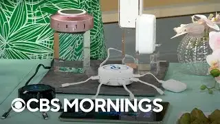 Exclusive discounts from CBS Mornings Deals