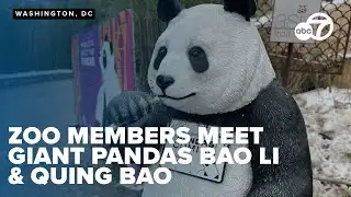 Exclusive members previewing new panda exhibit at DC Zoo