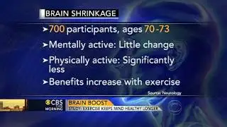 Exercise may be key to healthy brain