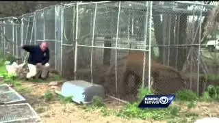 Exotic animals seized from Kansas man