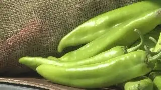 Expert: Chile crop the best in recent memory