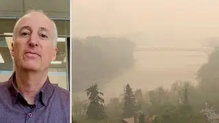 Expert explains the impact that wildfire smoke has on your lungs