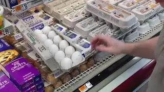 Expert says multiple factors is causing historic inflation