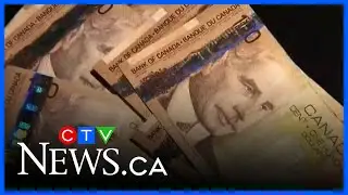 Expert shares tips to spot scams and avoid fraud