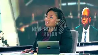 Experts analyse Senona