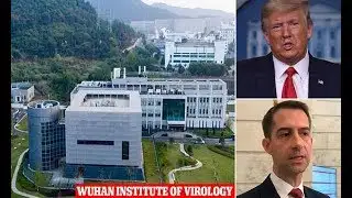 Experts debunk myths that China or USA bioengineered COVID-19