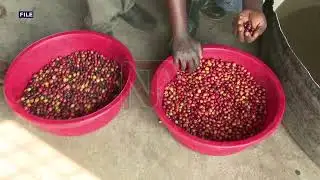 Experts discuss boosting youth in Agriculture