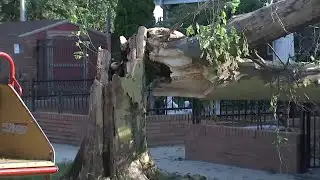 Experts say climate change likely not to blame for NYC storms