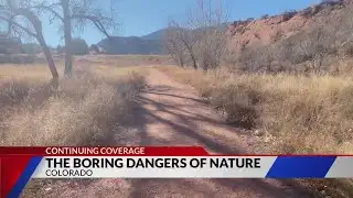 Experts weigh in on recent mountain lion attack