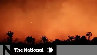 Experts worry about the future of the Amazon as forest fires rage