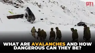 Explained: Uttarakhand Avalanche | What are avalanches and how dangerous can they be